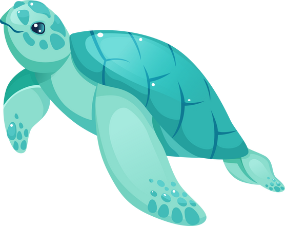 sea turtle